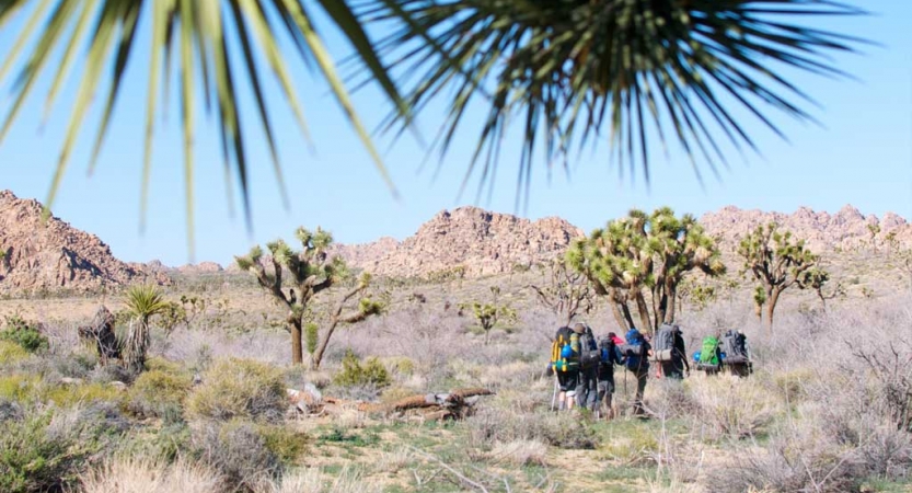 a group of people wearing backpacks hike through Joshua Tree National Park